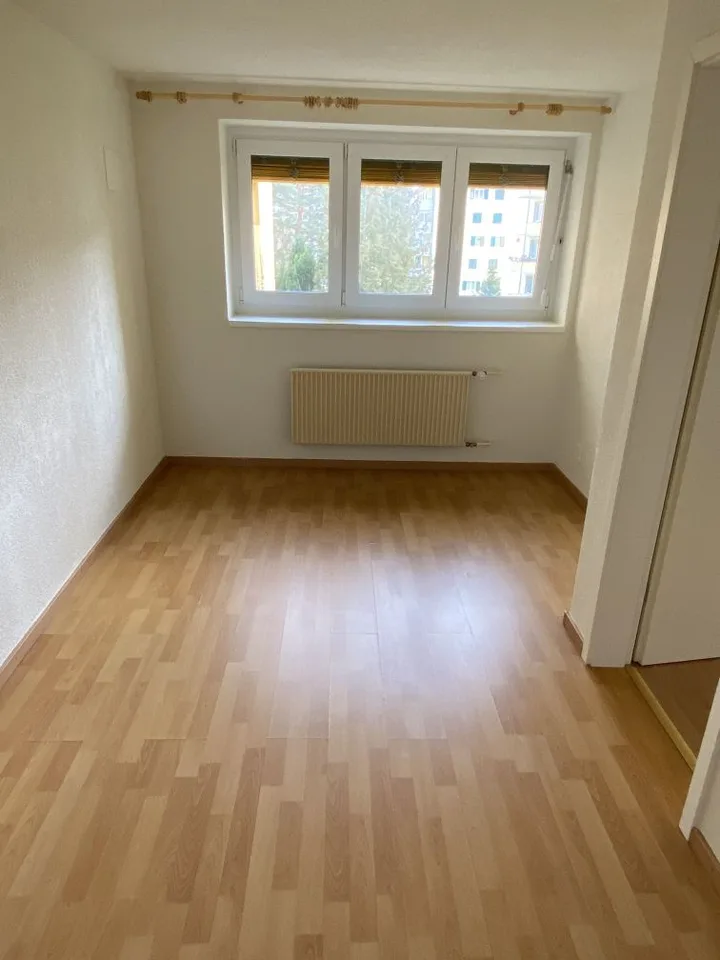 Appartement charmant 1 pièce avec belle vue à Bettlach