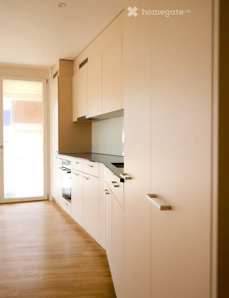 Moderne 2.5-Zimmer-Neubauwohnung im ruhigen Hedingen