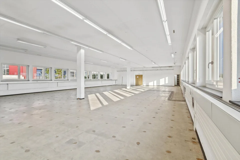 Your new office near Greifensee?