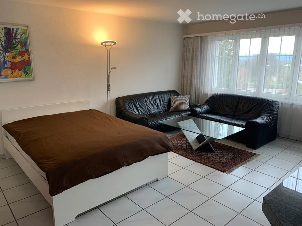 Appartement meublé 1 1/2 pièces avec espace de sièges privé. Calme avec Wi-Fi et TV !