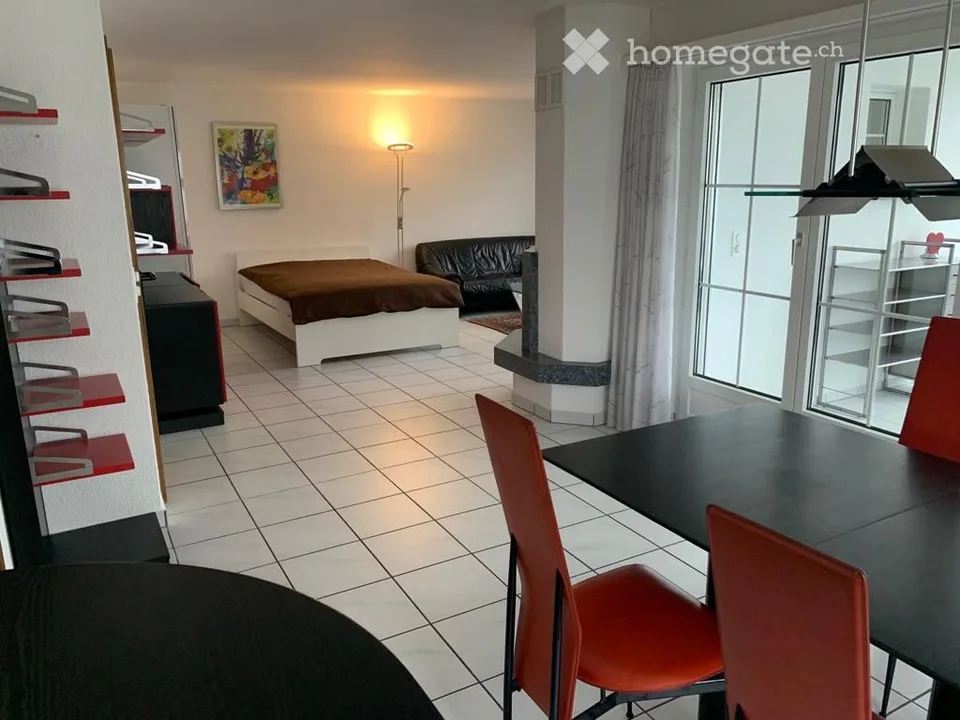 Appartement meublé 1 1/2 pièces avec espace de sièges privé. Calme avec Wi-Fi et TV !