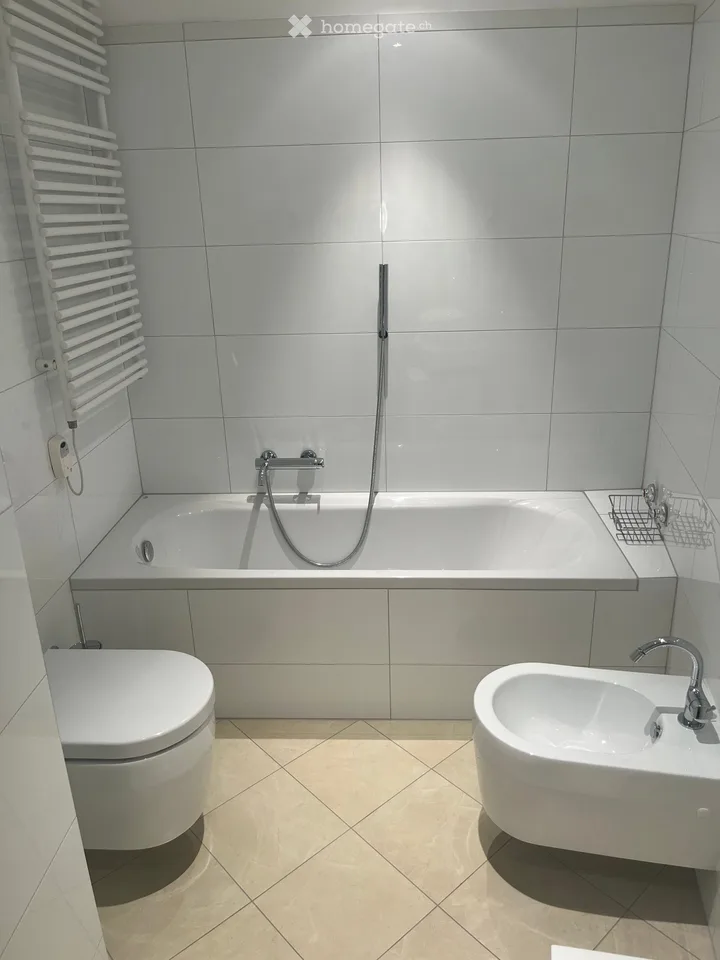 Geräumiges 3,5-Zimmer-Wohnung mit Seeblick
