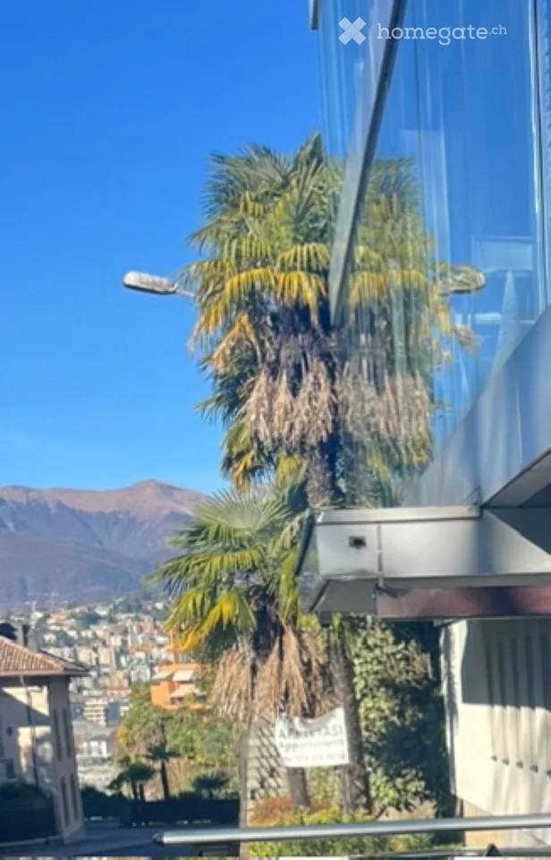 Ampio 3,5 fronte lago
