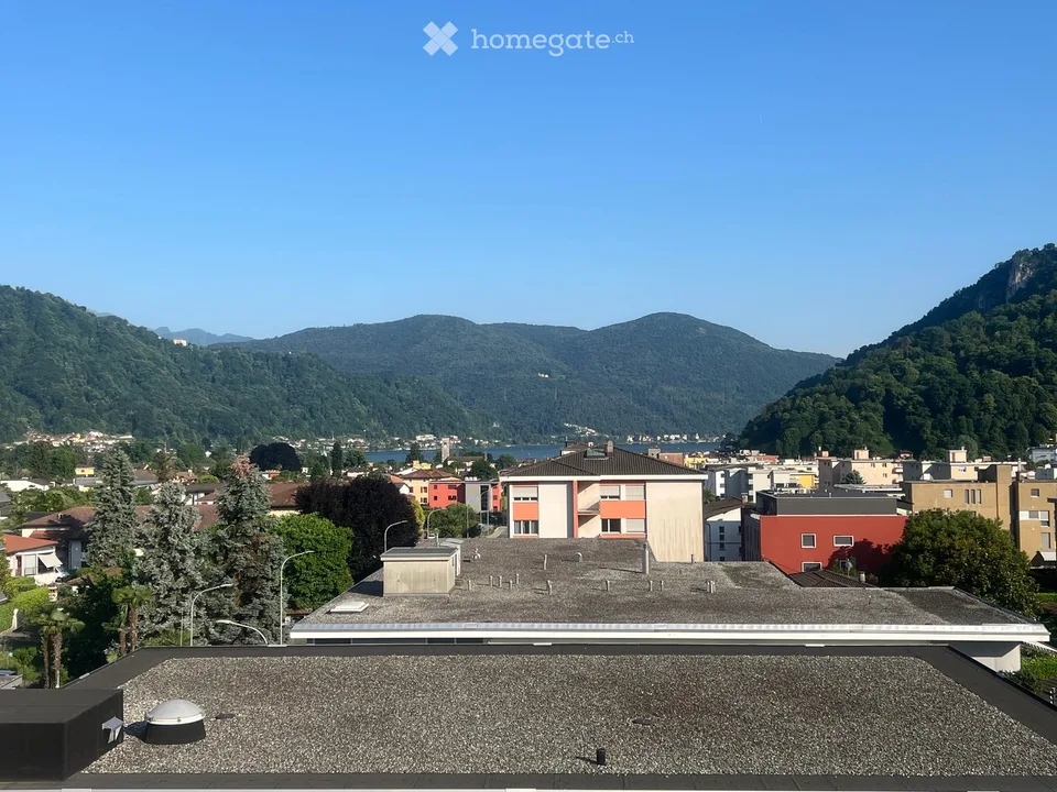Bellissimo 3.5 con vista lago di caslano