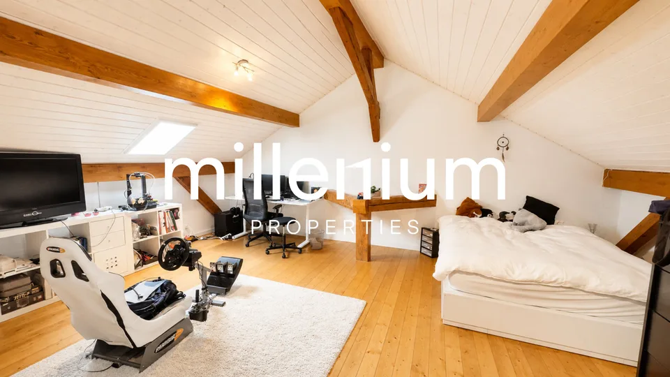 Spacieux appartement au coeur de la campagne genevoise