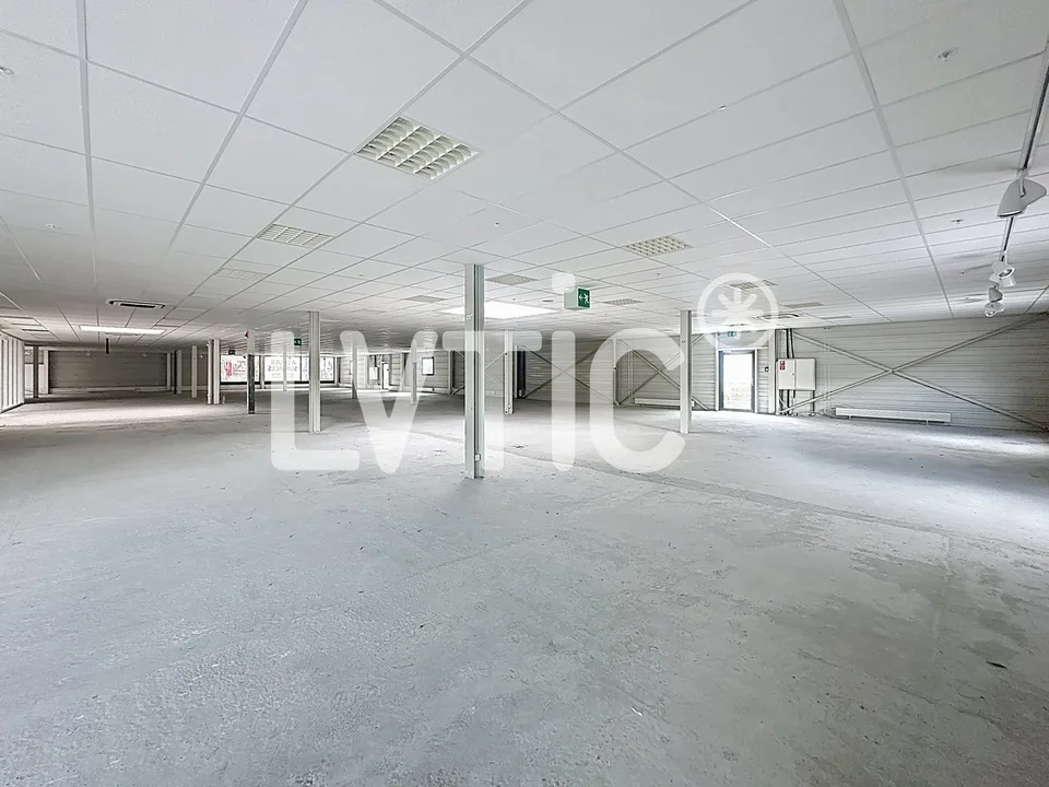 Sala di esposizione, uffici, locali di 1665 m2 divisibili in affitto a Conthey – foto 7 di 13
