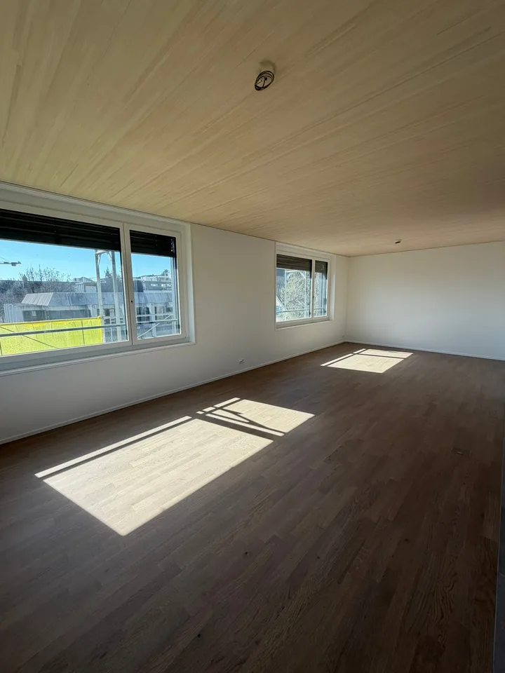 Appartamento appena ristrutturato in una posizione centrale a Thalwil con vista sul lago