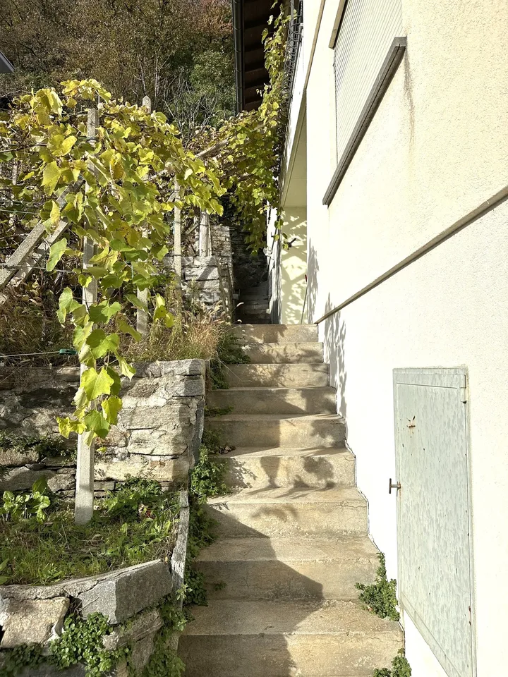 Casa bifamiliare 3.5 + 4.5 - Monte Carasso