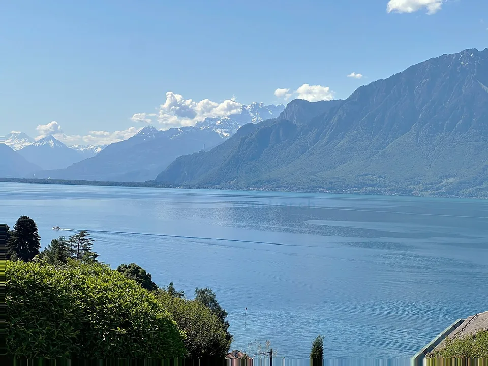 8 min. da Vevey centro, 3 ville di 5.5 locali - vista panoramica - quartiere tranquillo