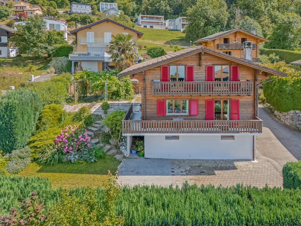 Vista impareggiabile sul Lago di Ginevra, calma assoluta – foto 13 di 13