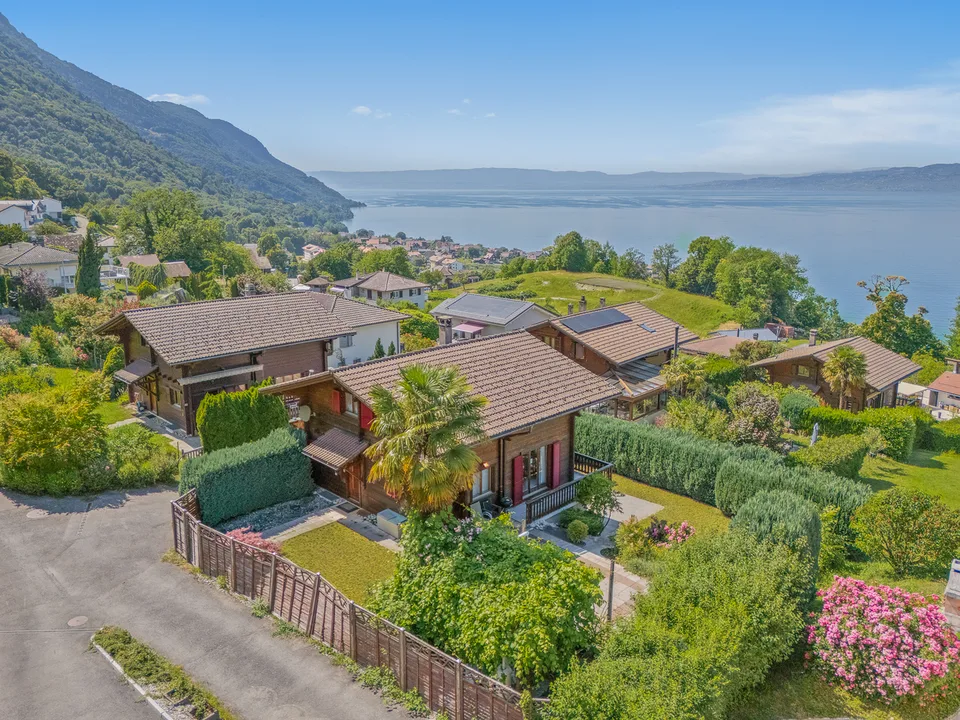 Vue imprenable sur le Léman, calme absolu