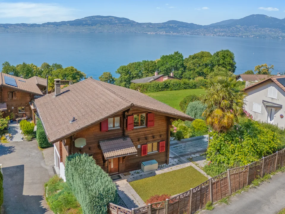 Vista impareggiabile sul Lago di Ginevra, calma assoluta – foto 10 di 13