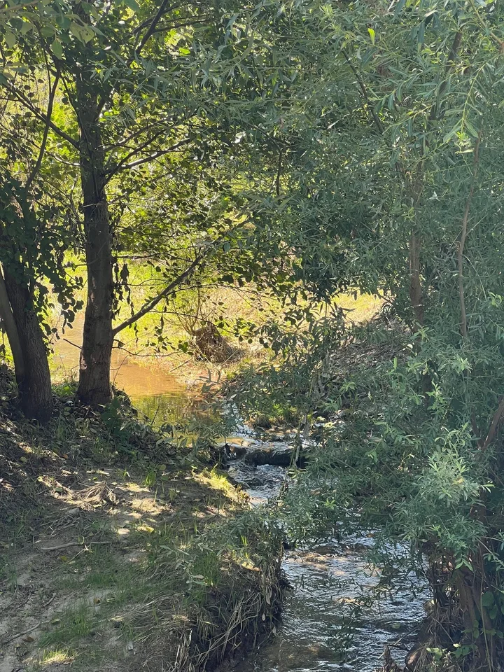 Wohnen am Bach im idyllischen Hendschiken mit guter Anbindung nach Lenzburg, Aarau und Zürich – Foto 21 von 21