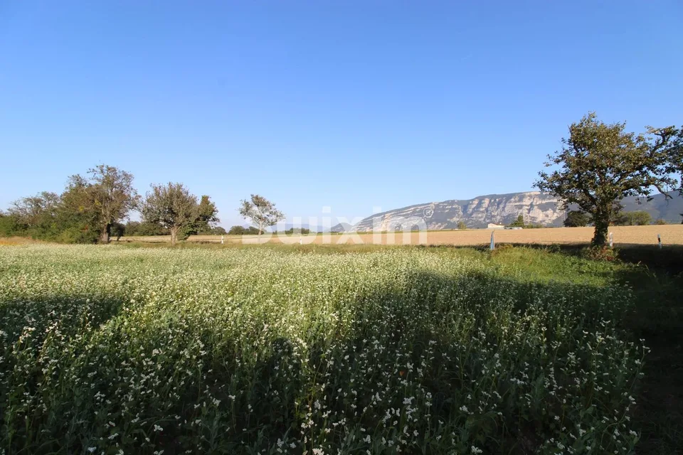 Très beau rez-de-jardin