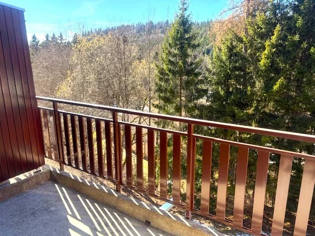 Charmant appartement 2.5 pièces avec balcon à St-Cergue