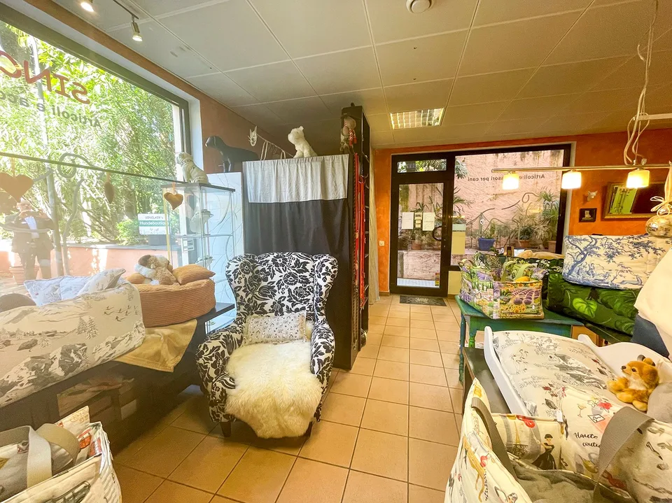 Opportunità di Investimento nel Cuore di Ascona – foto 14 di 20