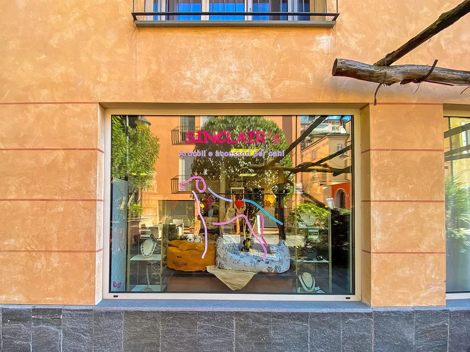 Opportunità di Investimento nel Cuore di Ascona – foto 12 di 20