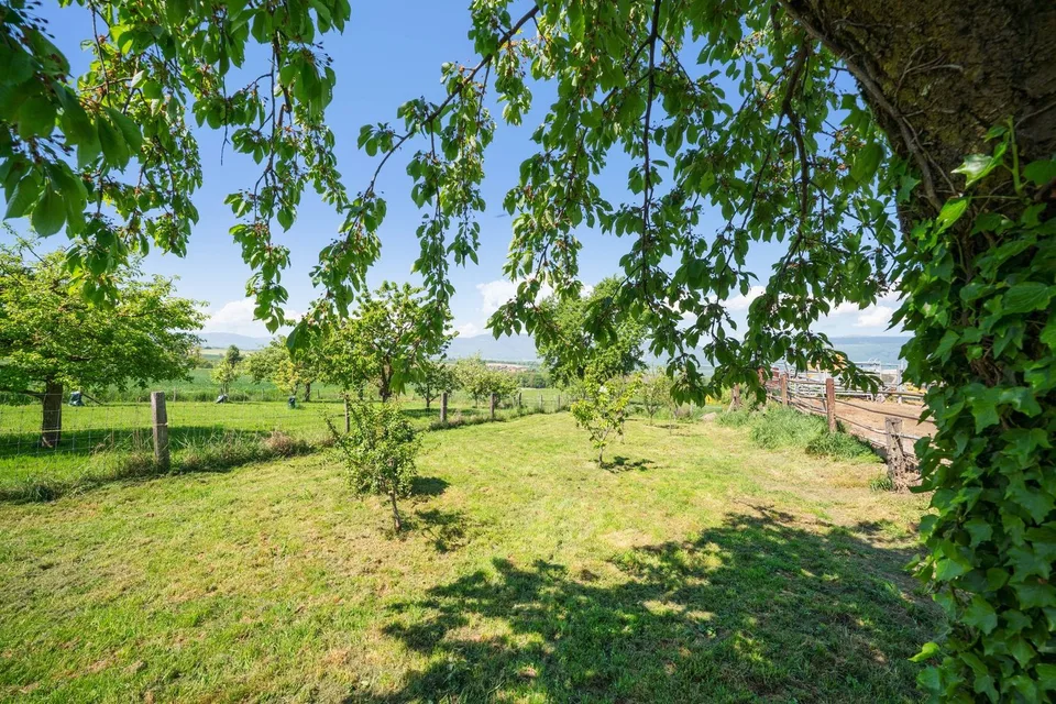 Casa familiare con ampio esterno e terrazza, vicino a Yverdon – foto 9 di 9