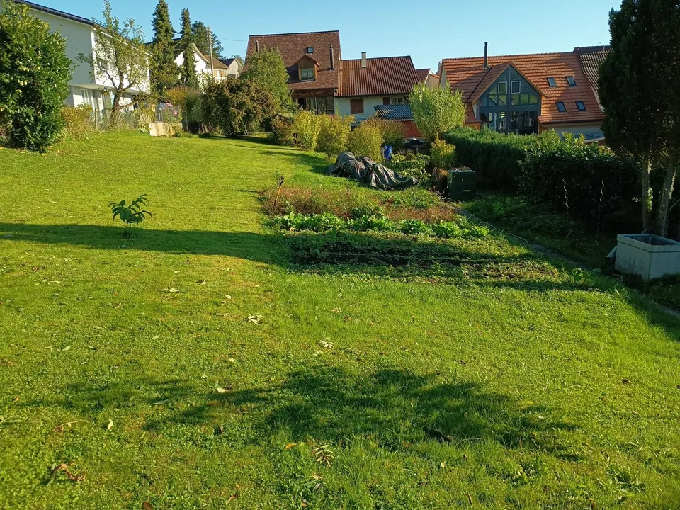 Zwei aneinandergebaute Liegenschaften mit 1539 m2 Grundstück in der Kern- und Landwirtschaftszone