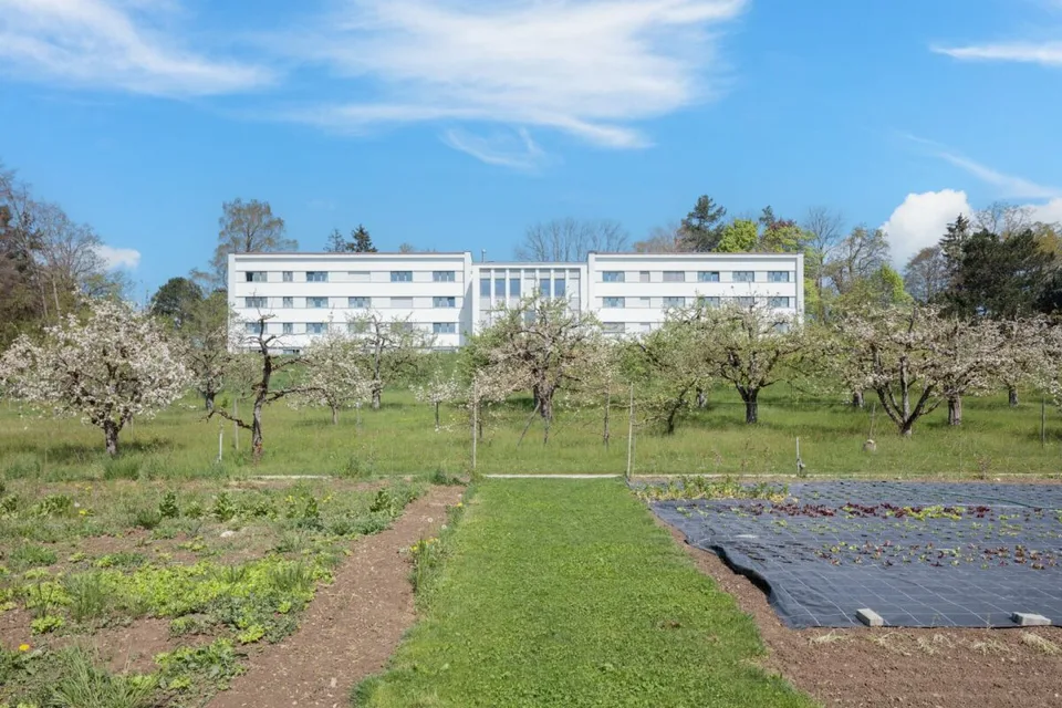 Domaine Notre-Dame de la Route