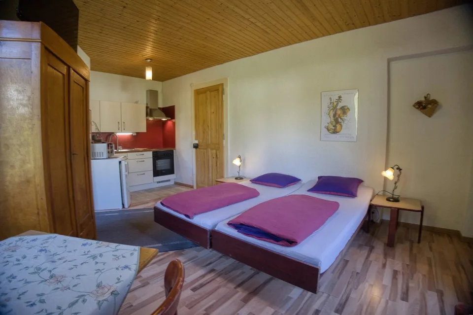 Old Character Hotel with Buildable Land - Great Potential for Enhancement – photo 10 of 13