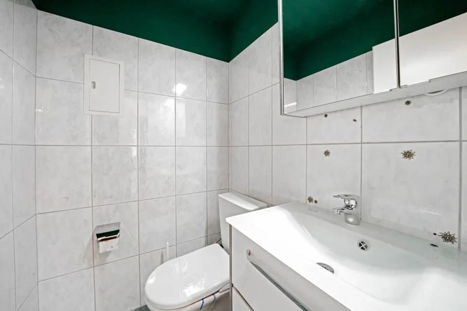 Preiswerte, renovierte 4,5 Zimmer Wohnung 10 min von Basel