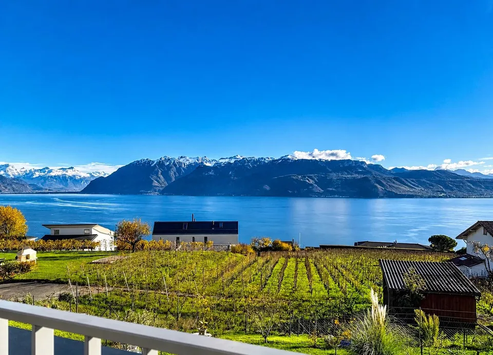 Grandvaux! Spectacular view of the Lake!
