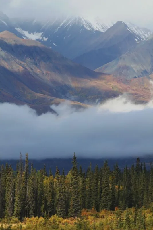 Ranch "Yukon Beauty" in Yukon Territorium – Foto 17 von 17