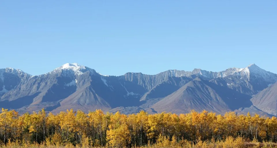 Ranch "Yukon Beauty" in Yukon Territorium – Foto 16 von 17