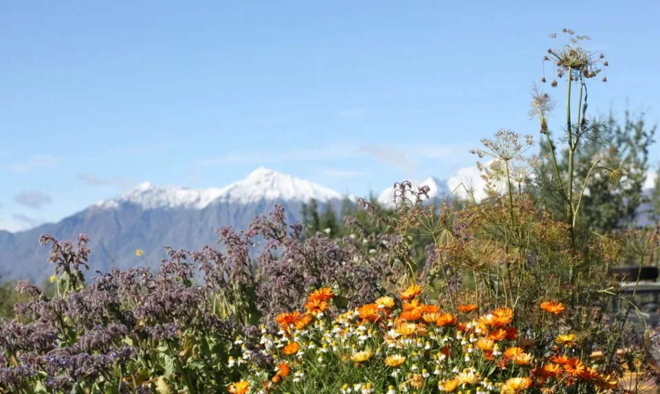 Ranch "Yukon Beauty" in Yukon Territorium – Foto 15 von 17