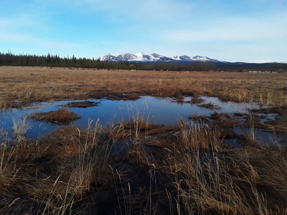 Ranch "Yukon Beauty" in Yukon Territorium – Foto 14 von 17