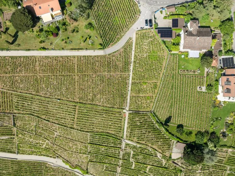 Elegante casa di ispirazione borghese nel cuore di Lavaux – foto 11 di 11