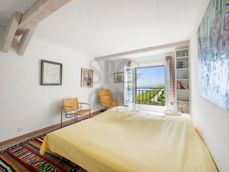 Elegante casa di ispirazione borghese nel cuore di Lavaux – foto 6 di 11