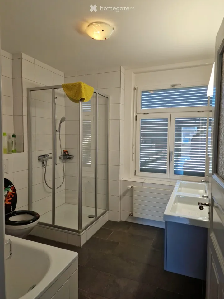 sehr grosse wohnung zu vermieten