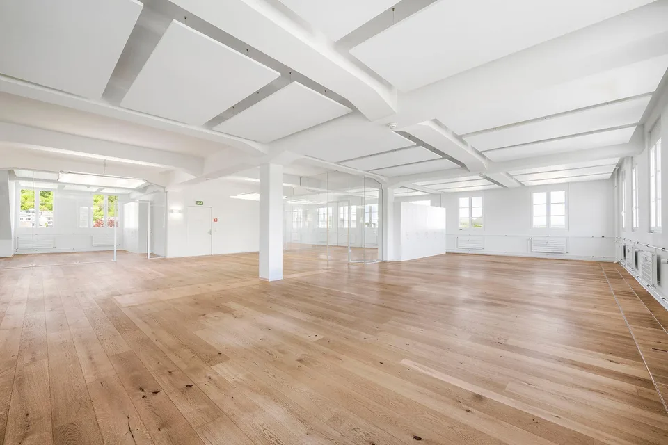 Espaces de bureau prêts à être occupés, de haute qualité, dans la zone USEGO d'Olten – photo 13 sur 19