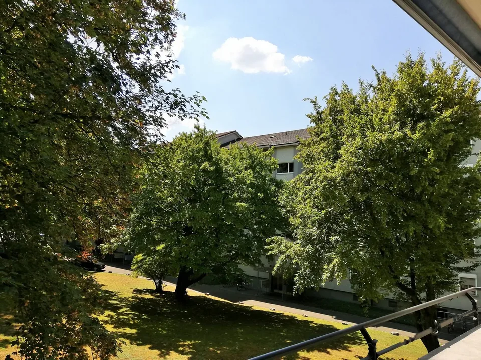 Befristetes Wohnen bis 31.05.2027 - in unmittelbarer Nähe zur Birs – Foto 7 von 8