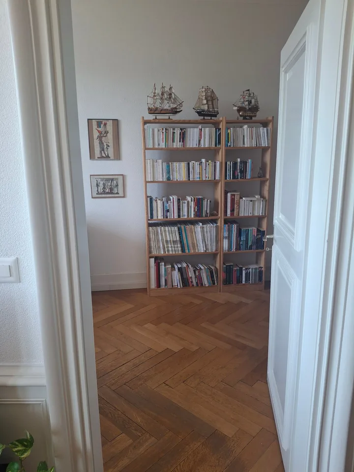 Prächtige Wohnung mit Balkon und schöner Aussicht