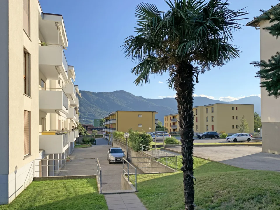 SEMENTINA, Affittiamo appartamento di 2½ locali