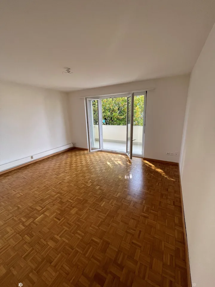 Renovierte 3-Zimmerwohnung mit 2 Balkonen