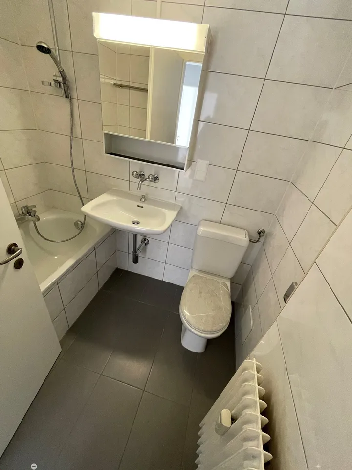 Renovierte 3-Zimmerwohnung mit 2 Balkonen
