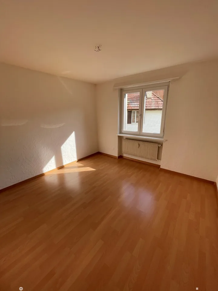 Renovierte 3-Zimmerwohnung mit 2 Balkonen