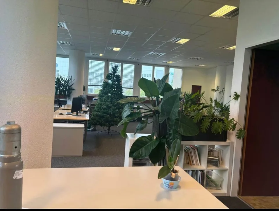 Locale professionale in affitto 234 m² + 6 posti auto in affitto – Renens