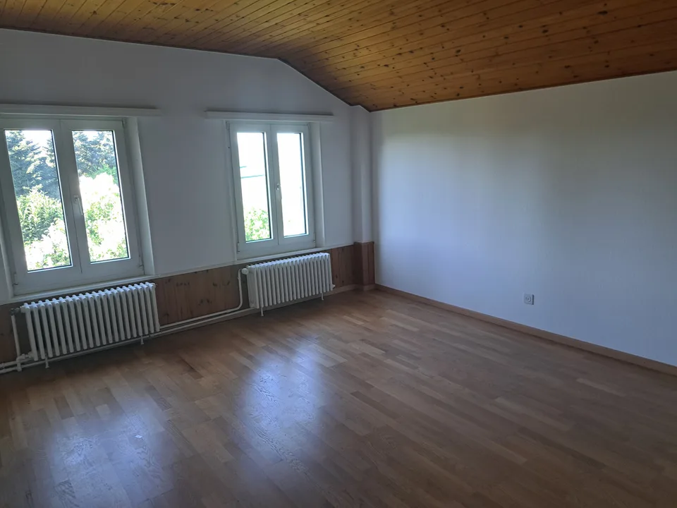 Magnificent duplex apartment