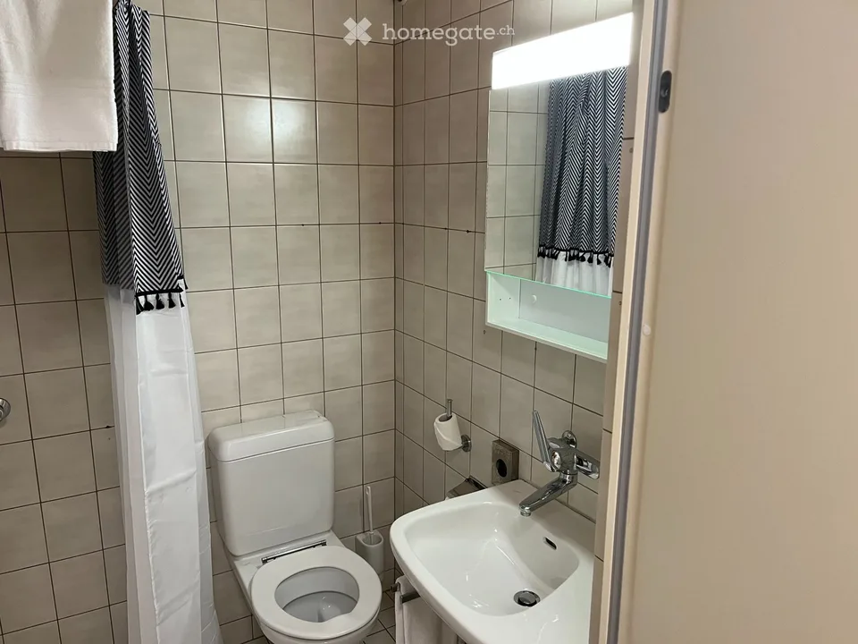 Camere mensili in affitto per montatori a Solothurn