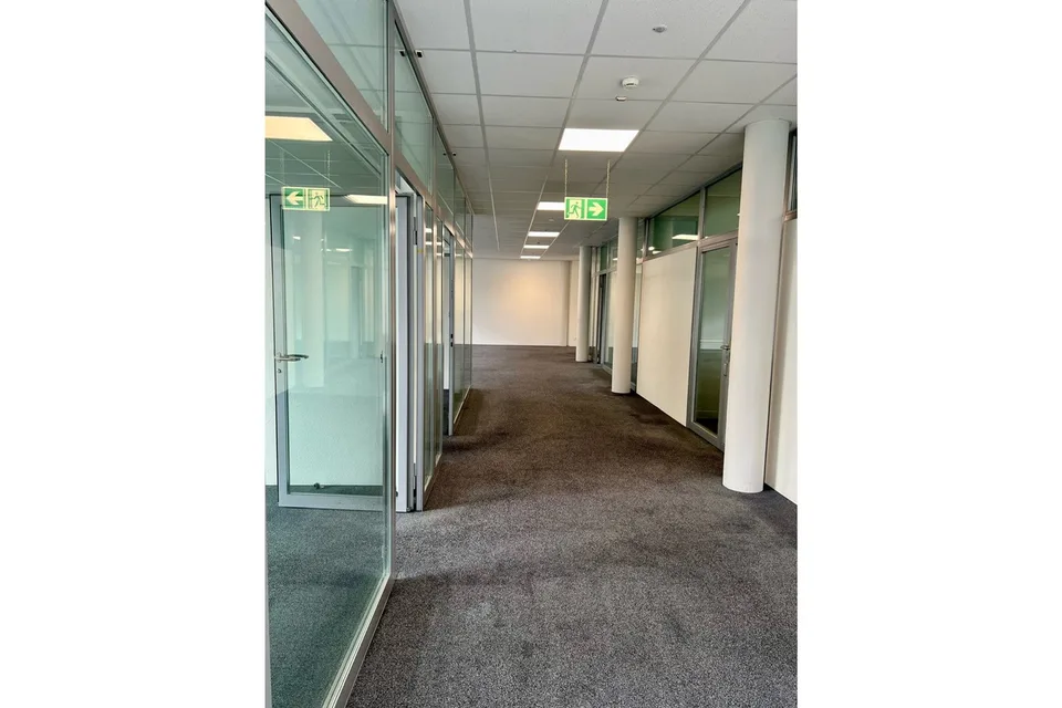 Felicità in ufficio nel Businesspark Bern