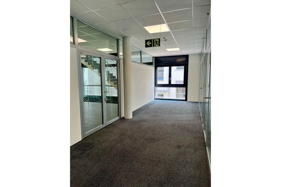 Felicità in ufficio nel Businesspark Bern