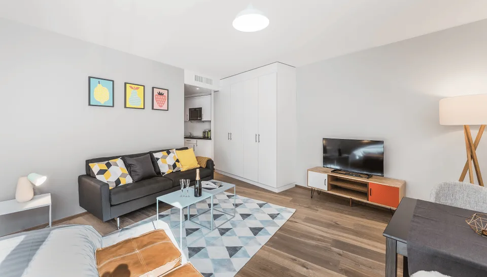 ✨ Charmantes möblierte Studio-Wohnung zur Miete in Carouge, Rue des Noirettes, Genf ✨