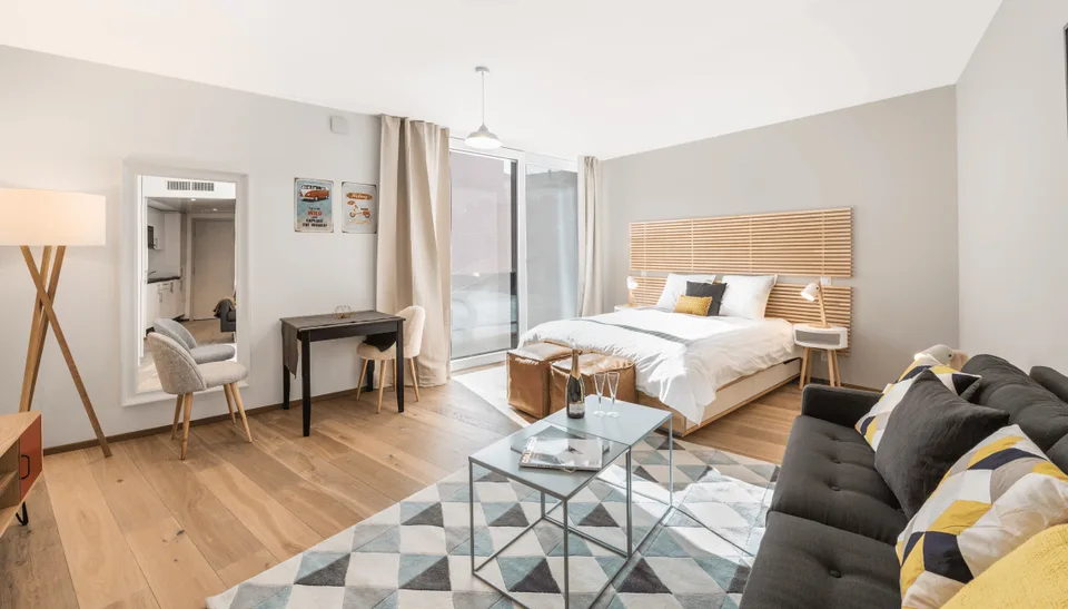 ✨ Charmant Studio Meublé à Louer à Carouge, Rue des Noirettes, Genève ✨