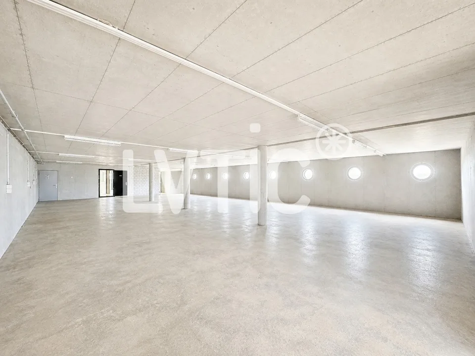 Laboratori, magazzini, ufficio di 622 m2 in affitto a Moudon