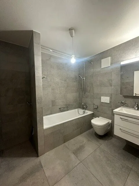 Magnifique duplex avec vue sur le lac, colocation possible – photo 6 sur 8